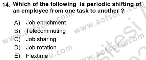 Organizational Behavior Dersi 2023 - 2024 Yılı (Vize) Ara Sınav Soruları 14. Soru