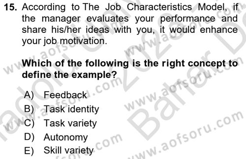 Organizational Behavior Dersi 2023 - 2024 Yılı (Vize) Ara Sınav Soruları 15. Soru