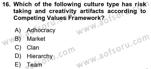 Organizational Behavior Dersi 2023 - 2024 Yılı (Vize) Ara Sınav Soruları 16. Soru