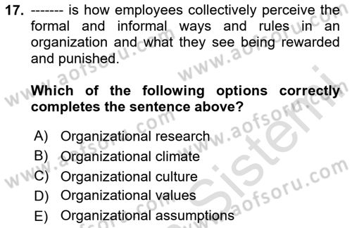 Organizational Behavior Dersi 2023 - 2024 Yılı (Vize) Ara Sınav Soruları 17. Soru