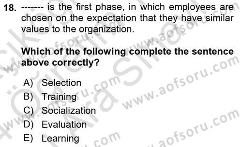 Organizational Behavior Dersi 2023 - 2024 Yılı (Vize) Ara Sınav Soruları 18. Soru