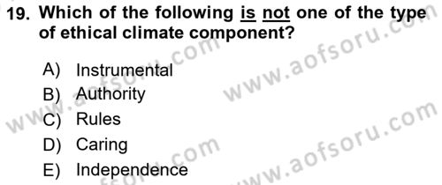Organizational Behavior Dersi 2023 - 2024 Yılı (Vize) Ara Sınav Soruları 19. Soru