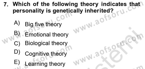 Organizational Behavior Dersi 2023 - 2024 Yılı (Vize) Ara Sınav Soruları 7. Soru