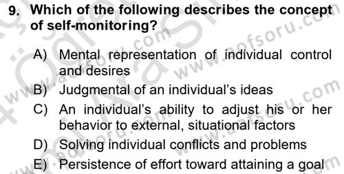 Organizational Behavior Dersi 2023 - 2024 Yılı (Vize) Ara Sınav Soruları 9. Soru