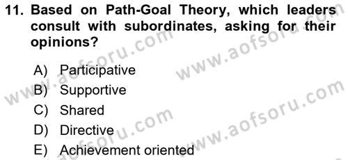 Organizational Behavior Dersi 2023 - 2024 Yılı (Final) Dönem Sonu Sınav Soruları 11. Soru