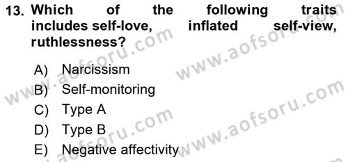 Organizational Behavior Dersi 2023 - 2024 Yılı (Final) Dönem Sonu Sınav Soruları 13. Soru