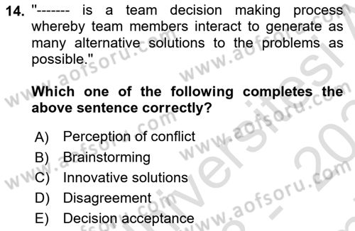 Organizational Behavior Dersi 2023 - 2024 Yılı (Final) Dönem Sonu Sınav Soruları 14. Soru