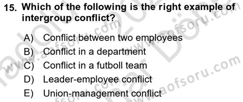 Organizational Behavior Dersi 2023 - 2024 Yılı (Final) Dönem Sonu Sınav Soruları 15. Soru
