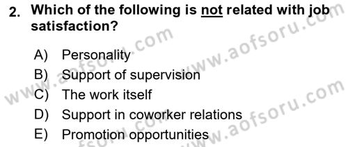 Organizational Behavior Dersi 2023 - 2024 Yılı (Final) Dönem Sonu Sınav Soruları 2. Soru