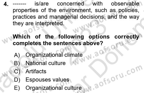 Organizational Behavior Dersi 2023 - 2024 Yılı (Final) Dönem Sonu Sınav Soruları 4. Soru