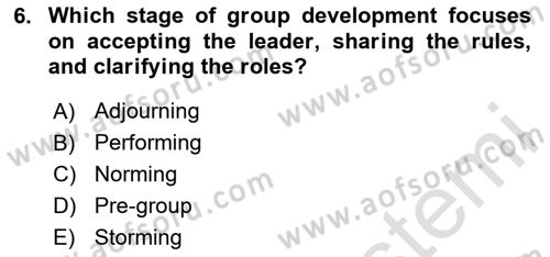 Organizational Behavior Dersi 2023 - 2024 Yılı (Final) Dönem Sonu Sınav Soruları 6. Soru