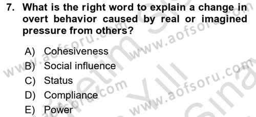 Organizational Behavior Dersi 2023 - 2024 Yılı (Final) Dönem Sonu Sınav Soruları 7. Soru
