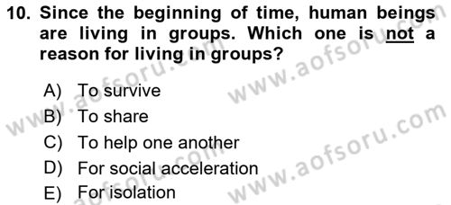 Organizational Behavior Dersi 2023 - 2024 Yılı Yaz Okulu Sınav Soruları 10. Soru