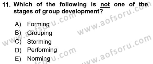 Organizational Behavior Dersi 2023 - 2024 Yılı Yaz Okulu Sınav Soruları 11. Soru