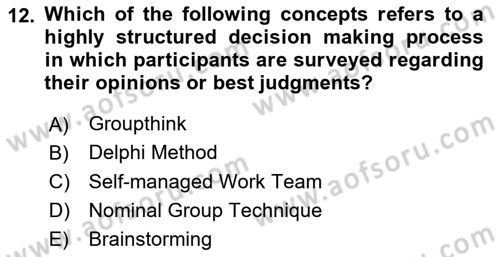 Organizational Behavior Dersi 2023 - 2024 Yılı Yaz Okulu Sınav Soruları 12. Soru