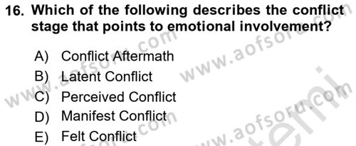 Organizational Behavior Dersi 2023 - 2024 Yılı Yaz Okulu Sınav Soruları 16. Soru