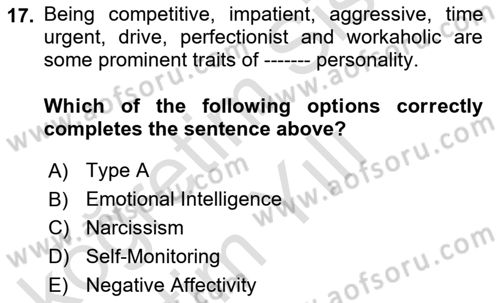 Organizational Behavior Dersi 2023 - 2024 Yılı Yaz Okulu Sınav Soruları 17. Soru