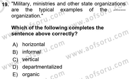 Organizational Behavior Dersi 2023 - 2024 Yılı Yaz Okulu Sınav Soruları 19. Soru