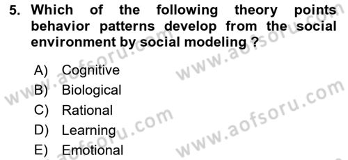 Organizational Behavior Dersi 2023 - 2024 Yılı Yaz Okulu Sınav Soruları 5. Soru