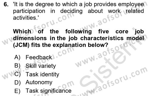 Organizational Behavior Dersi 2023 - 2024 Yılı Yaz Okulu Sınav Soruları 6. Soru