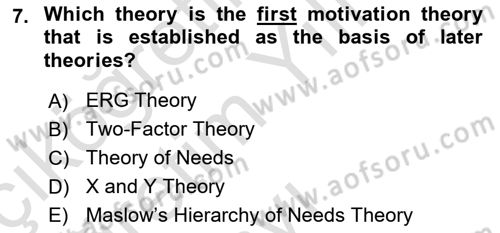 Organizational Behavior Dersi 2023 - 2024 Yılı Yaz Okulu Sınav Soruları 7. Soru