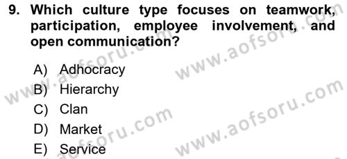 Organizational Behavior Dersi 2023 - 2024 Yılı Yaz Okulu Sınav Soruları 9. Soru
