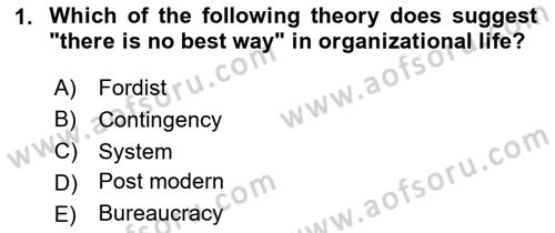 Organizational Behavior Dersi 2024 - 2025 Yılı (Vize) Ara Sınav Soruları 1. Soru