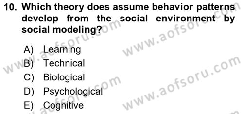 Organizational Behavior Dersi 2024 - 2025 Yılı (Vize) Ara Sınav Soruları 10. Soru