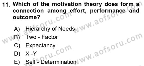 Organizational Behavior Dersi 2024 - 2025 Yılı (Vize) Ara Sınav Soruları 11. Soru