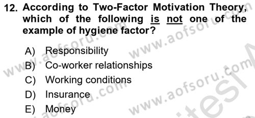 Organizational Behavior Dersi 2024 - 2025 Yılı (Vize) Ara Sınav Soruları 12. Soru