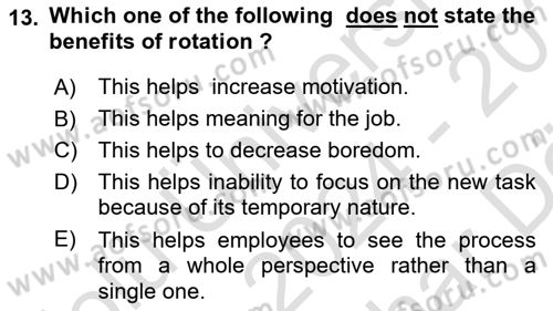 Organizational Behavior Dersi 2024 - 2025 Yılı (Vize) Ara Sınav Soruları 13. Soru