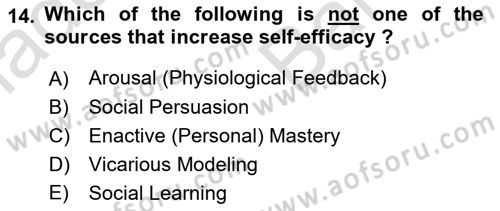 Organizational Behavior Dersi 2024 - 2025 Yılı (Vize) Ara Sınav Soruları 14. Soru