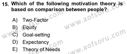 Organizational Behavior Dersi 2024 - 2025 Yılı (Vize) Ara Sınav Soruları 15. Soru