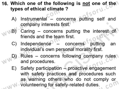 Organizational Behavior Dersi 2024 - 2025 Yılı (Vize) Ara Sınav Soruları 16. Soru