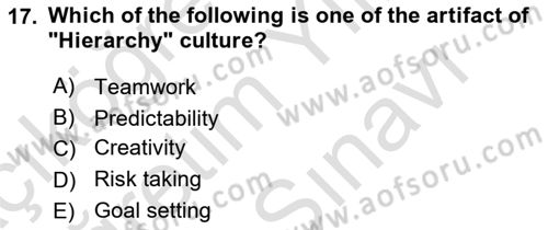 Organizational Behavior Dersi 2024 - 2025 Yılı (Vize) Ara Sınav Soruları 17. Soru