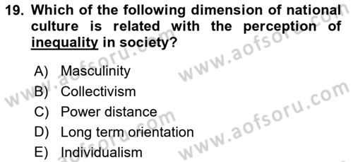 Organizational Behavior Dersi 2024 - 2025 Yılı (Vize) Ara Sınav Soruları 19. Soru