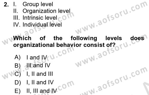 Organizational Behavior Dersi 2024 - 2025 Yılı (Vize) Ara Sınav Soruları 2. Soru