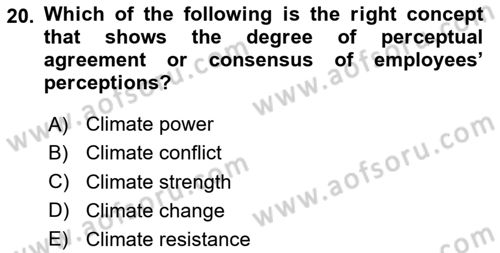 Organizational Behavior Dersi 2024 - 2025 Yılı (Vize) Ara Sınav Soruları 20. Soru