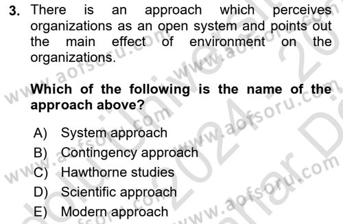 Organizational Behavior Dersi 2024 - 2025 Yılı (Vize) Ara Sınav Soruları 3. Soru