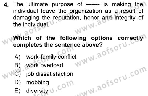 Organizational Behavior Dersi 2024 - 2025 Yılı (Vize) Ara Sınav Soruları 4. Soru