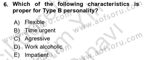 Organizational Behavior Dersi 2024 - 2025 Yılı (Vize) Ara Sınav Soruları 6. Soru