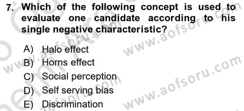 Organizational Behavior Dersi 2024 - 2025 Yılı (Vize) Ara Sınav Soruları 7. Soru