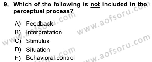 Organizational Behavior Dersi 2024 - 2025 Yılı (Vize) Ara Sınav Soruları 9. Soru
