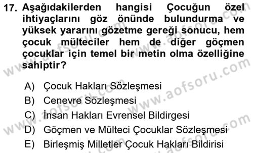 Göç Sosyolojisi Dersi 2020 - 2021 Yılı Yaz Okulu Sınav Soruları 17. Soru