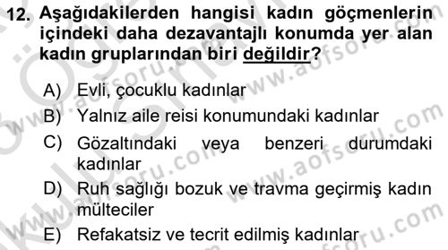 Göç Sosyolojisi Dersi 2022 - 2023 Yılı Yaz Okulu Sınav Soruları 12. Soru