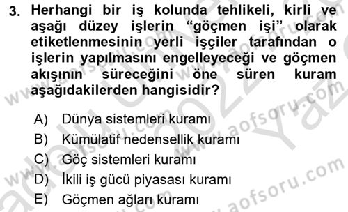 Göç Sosyolojisi Dersi 2022 - 2023 Yılı Yaz Okulu Sınav Soruları 3. Soru