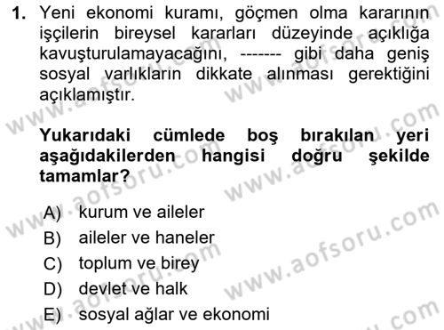 Göç Sosyolojisi Dersi 2023 - 2024 Yılı Yaz Okulu Sınav Soruları 1. Soru