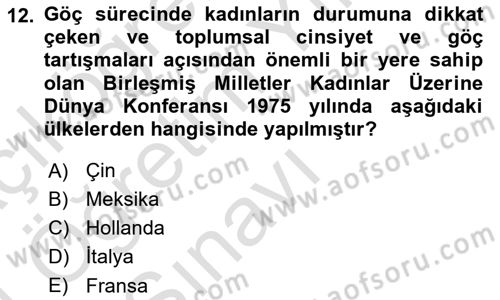 Göç Sosyolojisi Dersi 2023 - 2024 Yılı Yaz Okulu Sınav Soruları 12. Soru