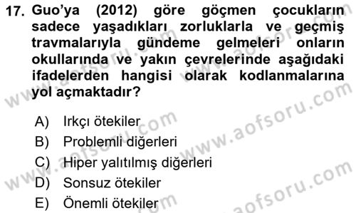 Göç Sosyolojisi Dersi 2023 - 2024 Yılı Yaz Okulu Sınav Soruları 17. Soru