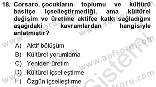 Göç Sosyolojisi Dersi 2023 - 2024 Yılı Yaz Okulu Sınav Soruları 18. Soru